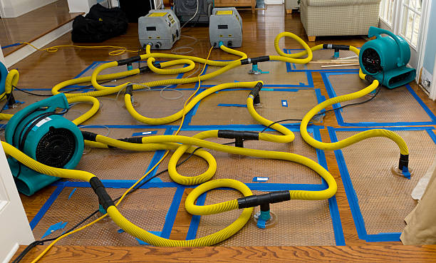 Professional Structural Drying And Dehumidification technician working in Bayville, NY